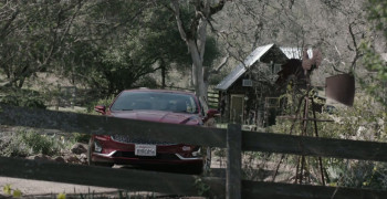 Grassland (2023) download