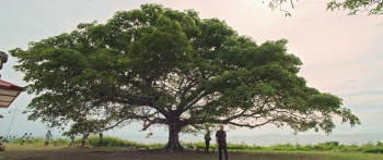 Green Bones (2024) download