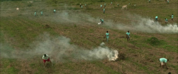 Green Bones (2024) download