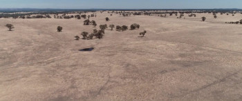 Growing Happiness (2024) download