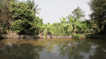 Guang yin de gu shi: Tai wan xin dian ying (2014) download