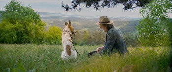 Gump - Jsme dvojka (2024) download