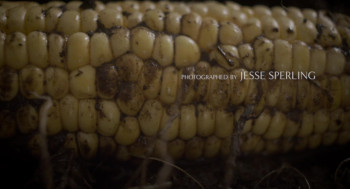 Happer's Comet (2022) download