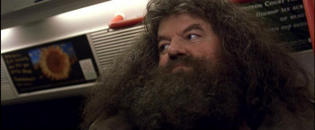 Harry Potter and the Sorcerer's Stone (2001) download