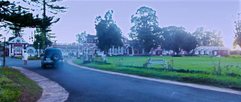 Haunted (2011) download