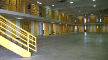 Hello, My Name is Beaver (2025) download