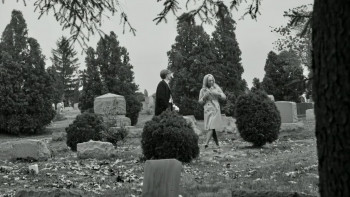 Hellvira's Haunted Asylum of Horror (2024) download