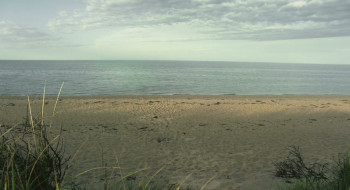 High Tide (2024) download