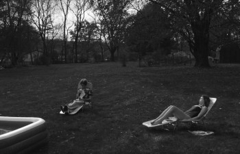 Hippo (2023) download