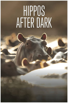Hippos After Dark (2015) download