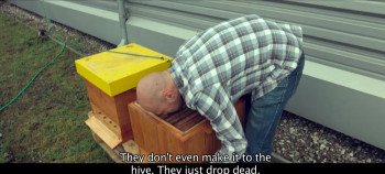 Honey Hunters (2016) download