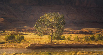 Horizon: An American Saga - Chapter 1 (2024) download