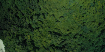 Host (2025) download