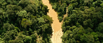 HOUBA! On the Trail of the Marsupilami (2012) download