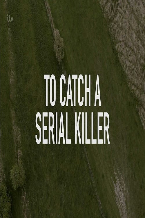 How to Catch a Serial Killer (2018) download