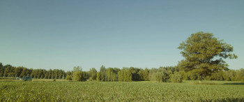 How We Ended Us (2023) download