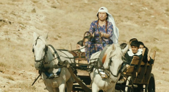 Hükümet Kadin 2 (2013) download