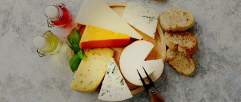 I Could Never Go Vegan (2024) download