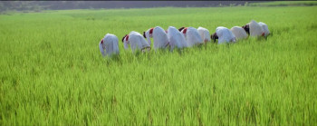 I Have Found It (2000) download