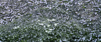 Icare, ou la mesure des choses (2021) download