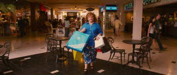 Identity Thief (2013) download