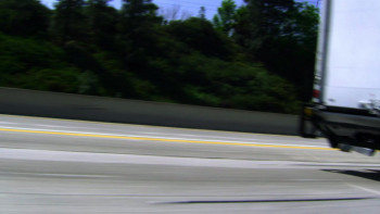 If the Seed Doesn't Die (2010) download