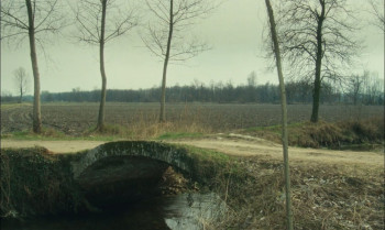 Il ragazzo di campagna (1984) download