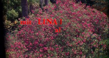 Ilsa, the Wicked Warden (1977) download