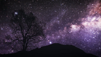 In Plain Sight: The Intelligence Community and UFOs (2022) download