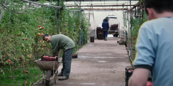 In the Land of Brothers (2024) download