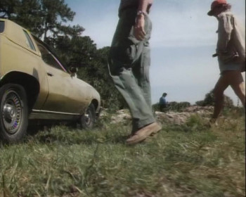 In the Line of Duty: The F.B.I. Murders (1988) download