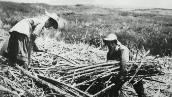 Inheritance (2022) download