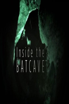 Inside the Bat Cave (2020) download