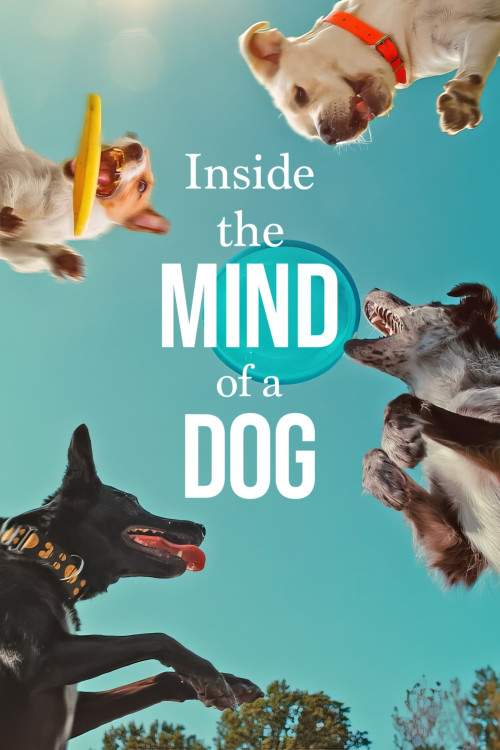 Inside the Mind of a Dog (2024) download