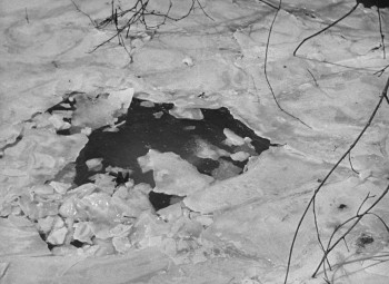 Intruder in the Dust (1949) download