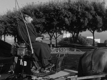 Io, mammeta e tu (1958) download