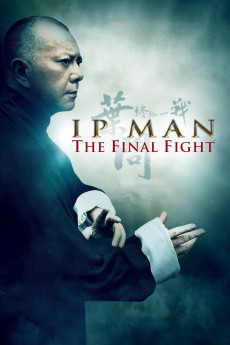 Ip Man: The Final Fight (2013) download