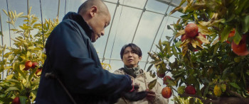 It's in the Woods (2022) download