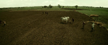 Jaat (2025) download