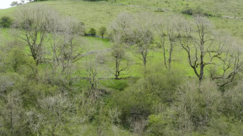 Jack and Jill 3 (2023) download