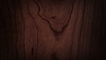 Jaws @ 50: The Definitive Inside Story (2025) download