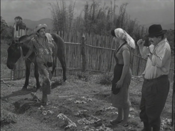 Jeca Tatu (1959) download