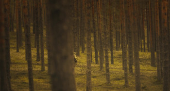 Johannes Pääsukese tõeline elu (2019) download