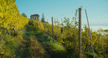 John Leguizamo: Sexaholix... A Love Story (2002) download