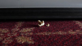 Joker's Poltergeist (2016) download