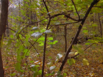 Josh Kirby: Time Warrior! Chap. 3: Trapped on Toyworld (1996) download