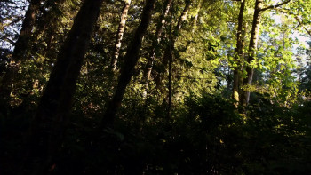 Junk Bonds: The Return of Junkbucket (2013) download