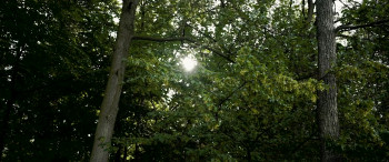 Just Girls (2021) download