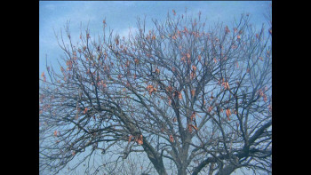 Kabhi Kabhie (1976) download