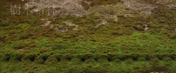 Kakekomi (2015) download